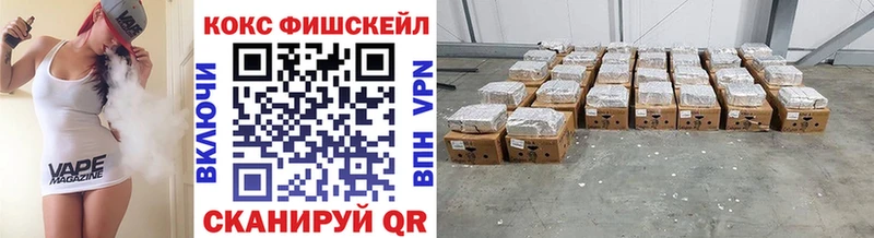 Cocaine FishScale как найти наркотики Норильск