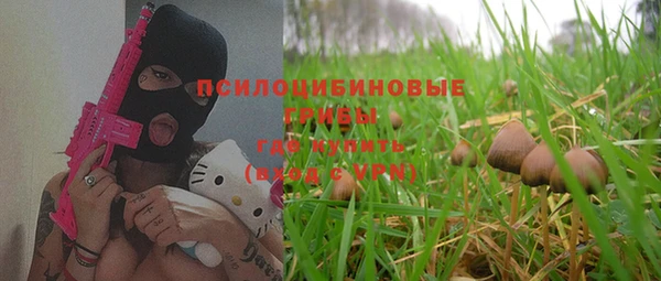 стафф Вяземский
